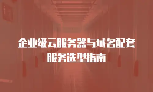 企业级云服务器与域名配套服务选型指南