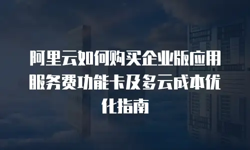 阿里云如何购买企业版应用服务费功能卡及多云成本优化指南
