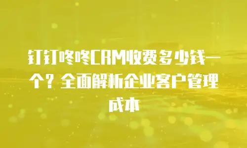 钉钉咚咚CRM收费多少钱一个？全面解析企业客户管理成本