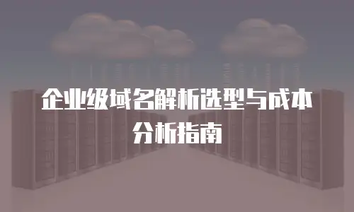 企业级域名解析选型与成本分析指南
