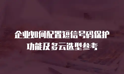 企业如何配置短信号码保护功能及多云选型参考