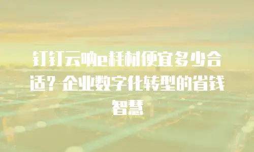 钉钉云呐e耗材便宜多少合适？企业数字化转型的省钱智慧