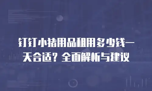 钉钉小猪用品租用多少钱一天合适？全面解析与建议