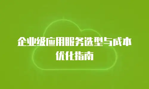 企业级应用服务选型与成本优化指南