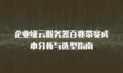 企业级云服务器百兆带宽成本分析与选型指南