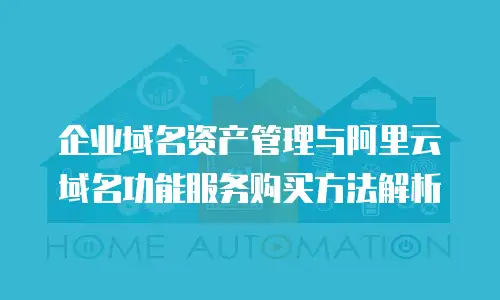企业域名资产管理与阿里云域名功能服务购买方法解析