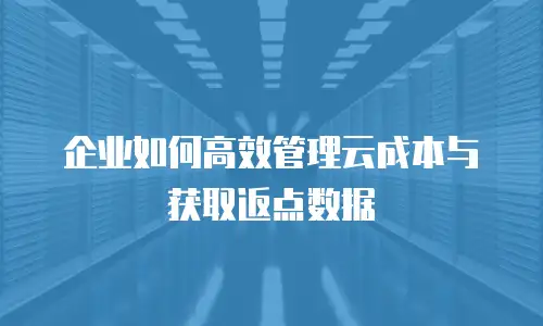 企业如何高效管理云成本与获取返点数据