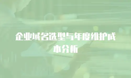 企业域名选型与年度维护成本分析
