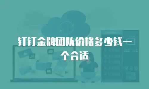 钉钉金牌团队价格多少钱一个合适