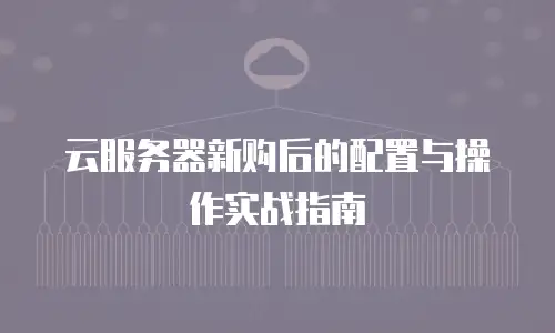 云服务器新购后的配置与操作实战指南