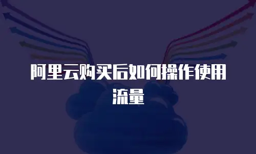 阿里云购买后如何操作使用流量