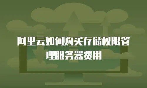 阿里云如何购买存储权限管理服务器费用