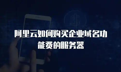 阿里云如何购买企业域名功能费的服务器