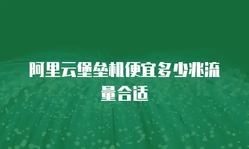 阿里云堡垒机便宜多少兆流量合适