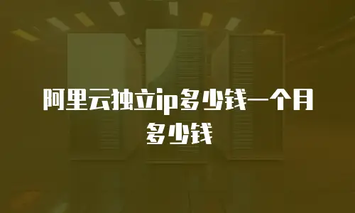 阿里云独立ip多少钱一个月多少钱