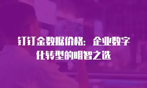 钉钉金数据价格：企业数字化转型的明智之选