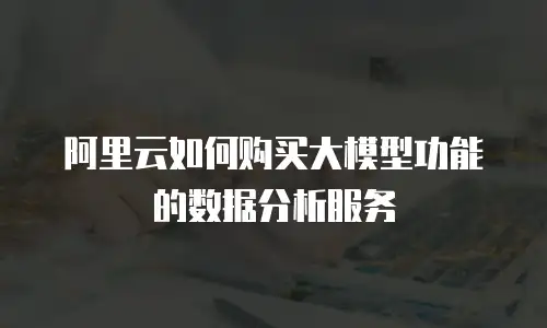 阿里云如何购买大模型功能的数据分析服务