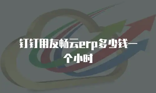 钉钉用友畅云erp多少钱一个小时