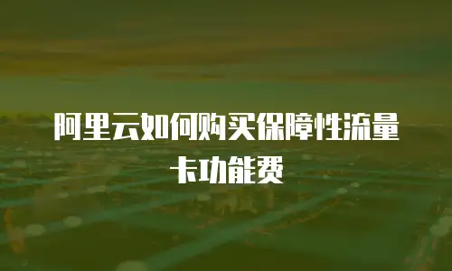 阿里云如何购买保障性流量卡功能费