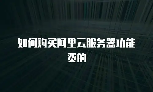 如何购买阿里云服务器功能费的