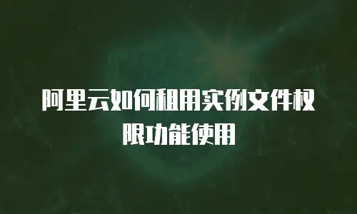 阿里云如何租用实例文件权限功能使用