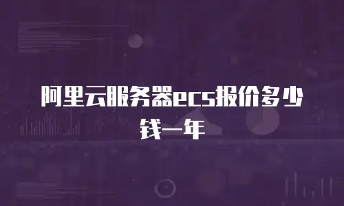 阿里云服务器ecs报价多少钱一年