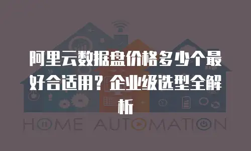 阿里云数据盘价格多少个最好合适用？企业级选型全解析