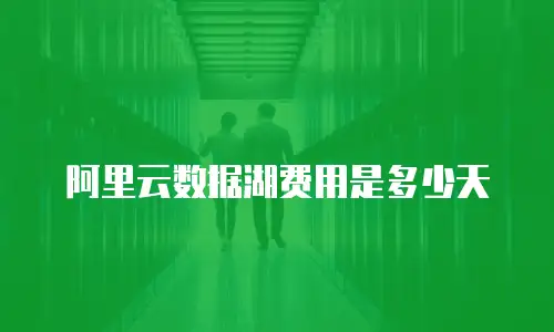 阿里云数据湖费用是多少天