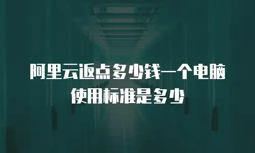 阿里云返点多少钱一个电脑使用标准是多少