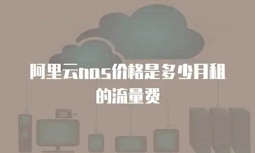 阿里云nas价格是多少月租的流量费