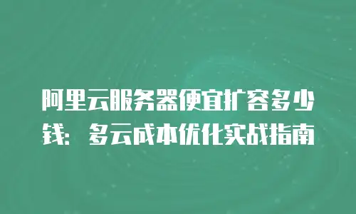 阿里云服务器便宜扩容多少钱：多云成本优化实战指南