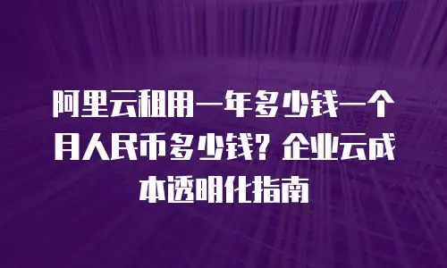 阿里云租用一年多少钱一个月人民币多少钱？企业云成本透明化指南