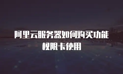 阿里云服务器如何购买功能权限卡使用