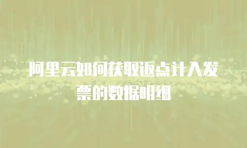 阿里云如何获取返点计入发票的数据明细