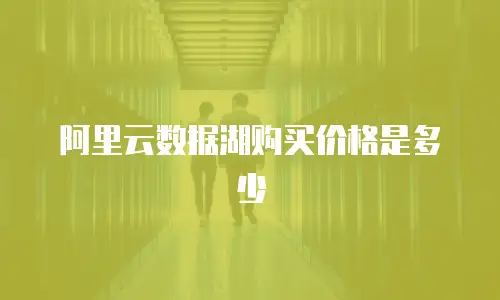 阿里云数据湖购买价格是多少