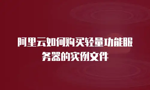 阿里云如何购买轻量功能服务器的实例文件