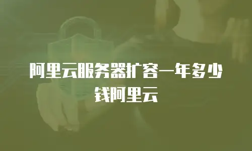 阿里云服务器扩容一年多少钱阿里云