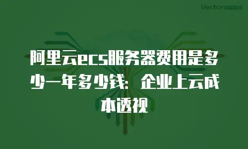 阿里云ecs服务器费用是多少一年多少钱：企业上云成本透视