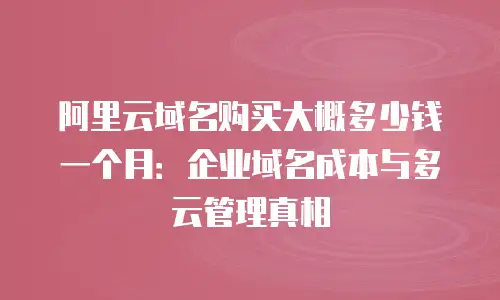 阿里云域名购买大概多少钱一个月：企业域名成本与多云管理真相