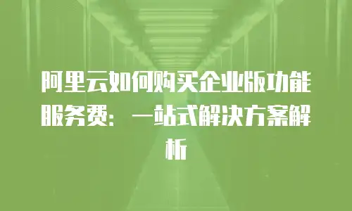 阿里云如何购买企业版功能服务费：一站式解决方案解析