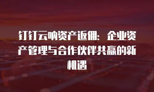 钉钉云呐资产返佣：企业资产管理与合作伙伴共赢的新机遇