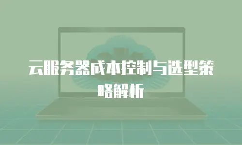 云服务器成本控制与选型策略解析