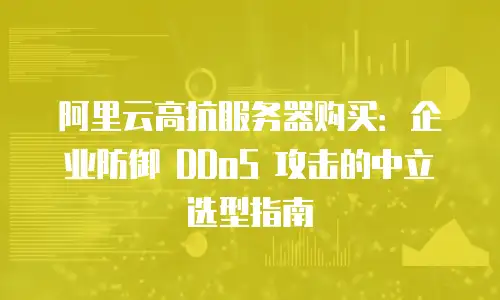 阿里云高抗服务器购买：企业防御 DDoS 攻击的中立选型指南