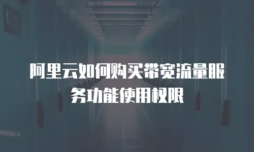 阿里云如何购买带宽流量服务功能使用权限