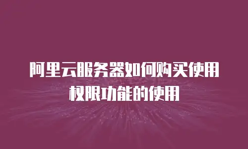 阿里云服务器如何购买使用权限功能的使用