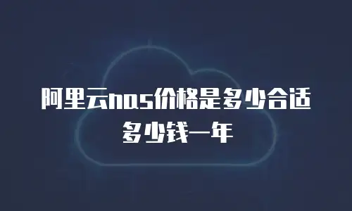 阿里云nas价格是多少合适多少钱一年