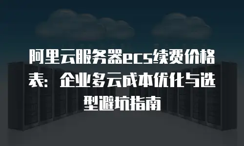 阿里云服务器ecs续费价格表：企业多云成本优化与选型避坑指南
