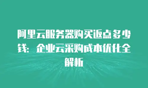 阿里云服务器购买返点多少钱：企业云采购成本优化全解析