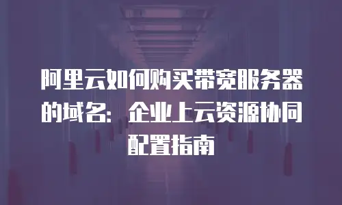 阿里云如何购买带宽服务器的域名：企业上云资源协同配置指南