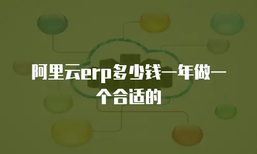 阿里云erp多少钱一年做一个合适的